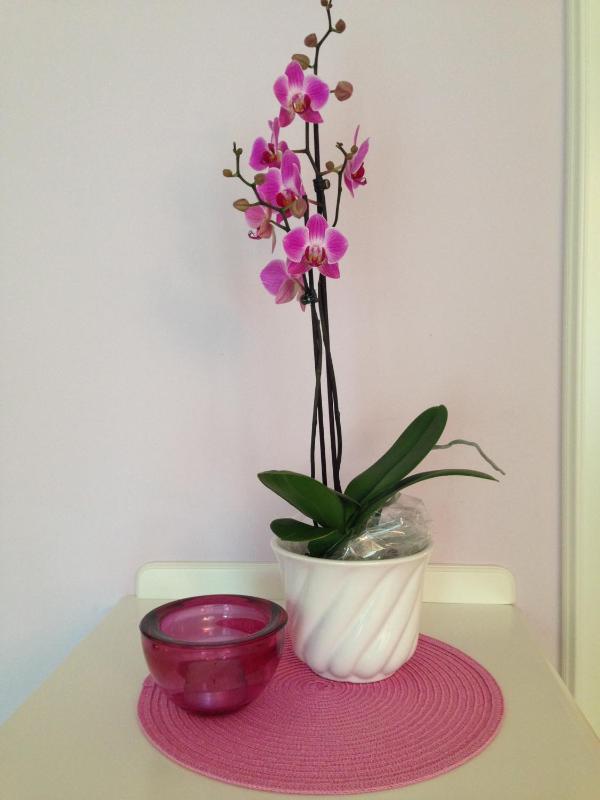  Deluxe Double Room with Balcony  and Partial lake View image 4