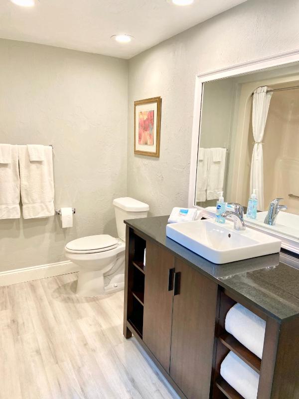 King Suite with Ocean View image 4