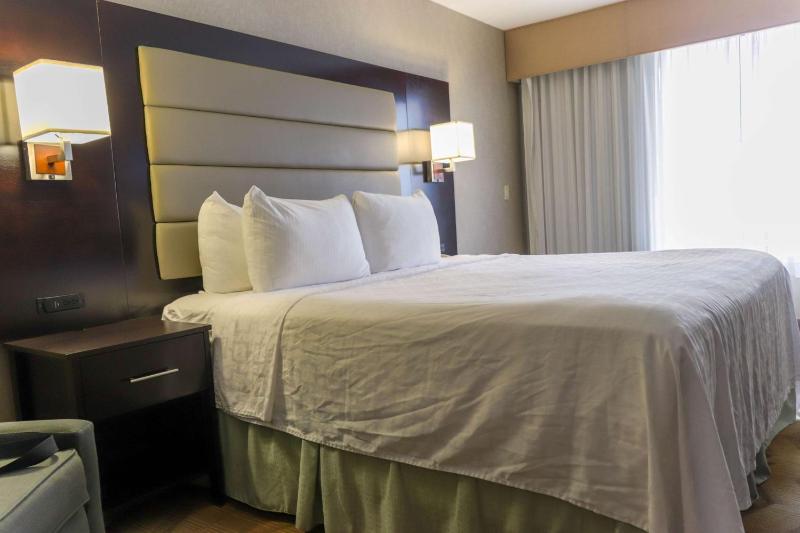 King Room with City View image 4