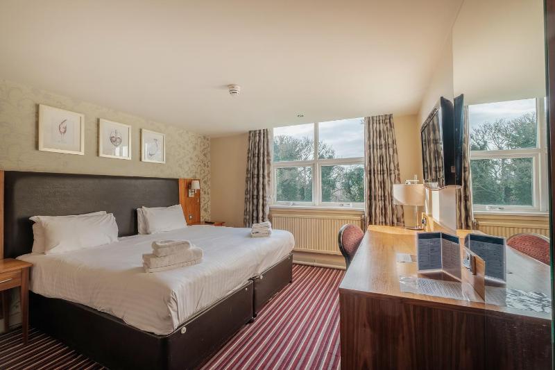 Standard Twin Room image 4