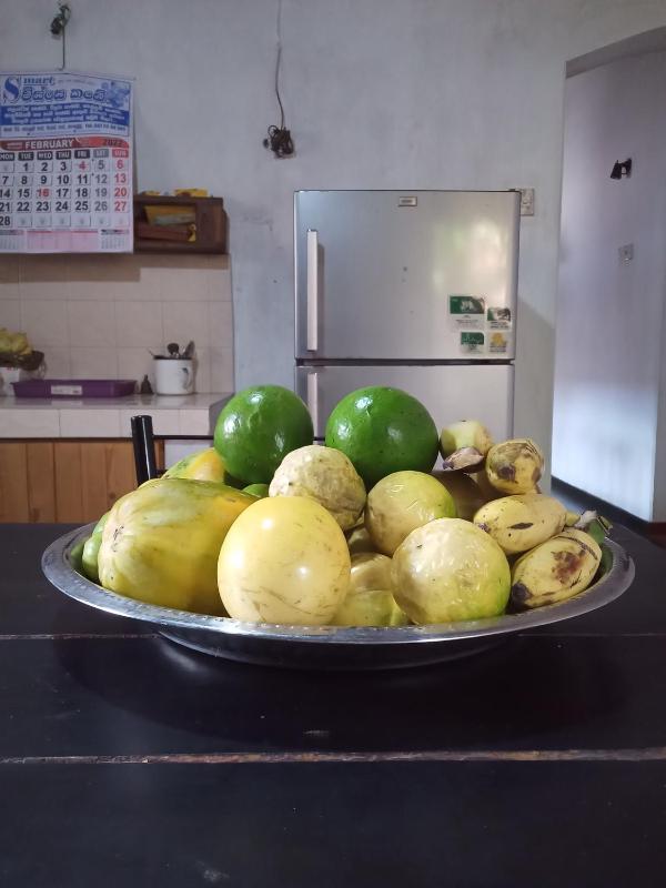 Dilip's House - image 4