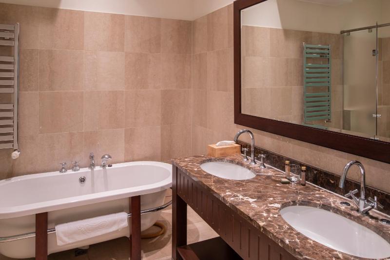 Deluxe One-Bedroom Apartment image 3