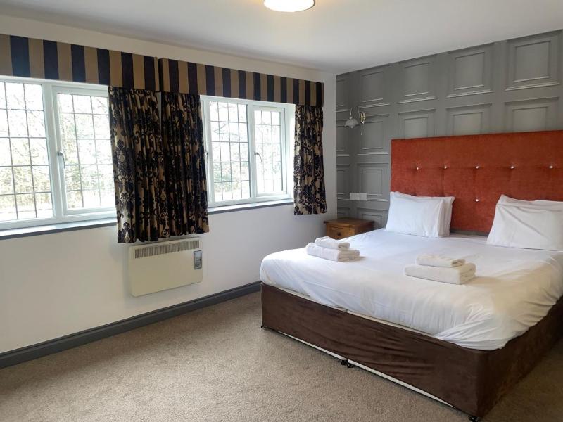 Superior Double Room image 3