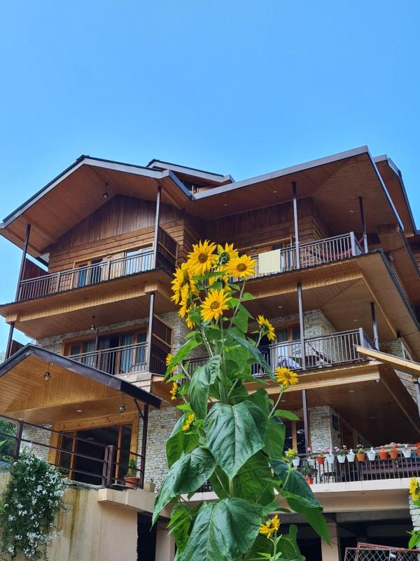 The Hillside Images