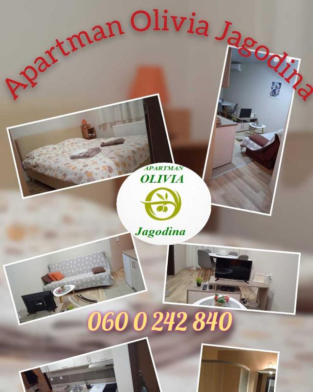 Apartment - Ground Floor image 2