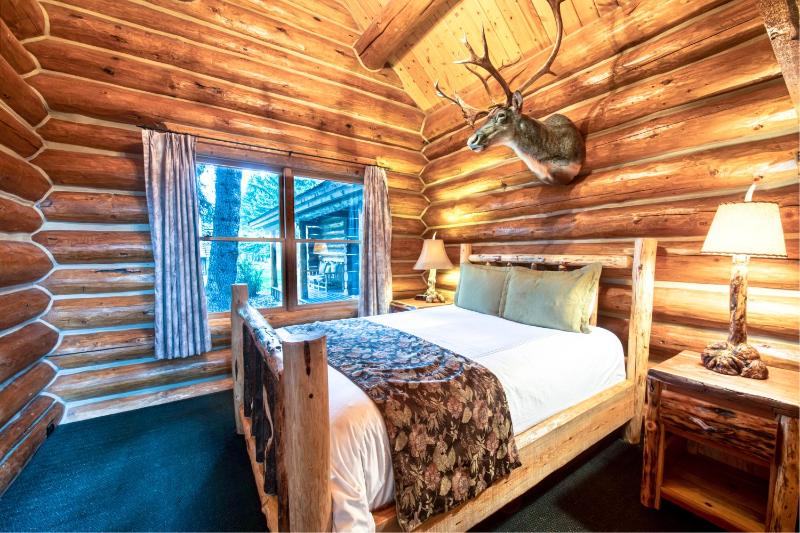 Suite image 4