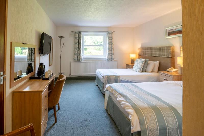 Standard Twin Room image 1