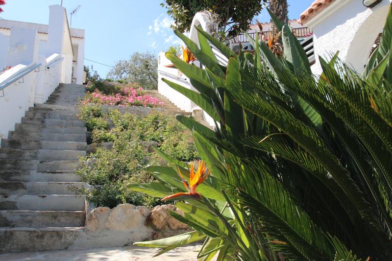 Casas Blancas 26 - image 34