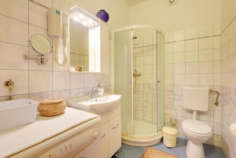 One-Bedroom Apartment image 4