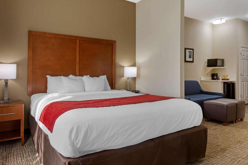King Suite with Sofa Bed - Non-Smoking image 2