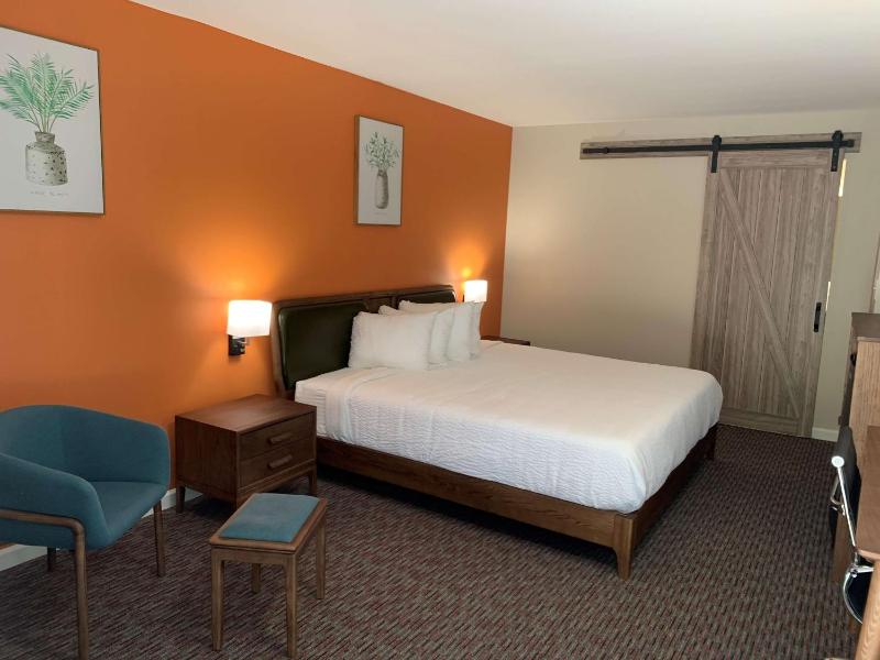 King Room image 1