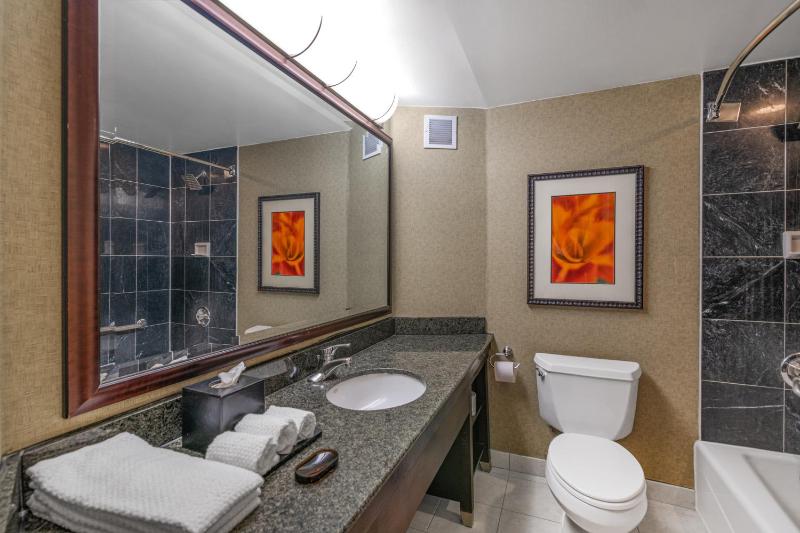 Superior King Suite image 4