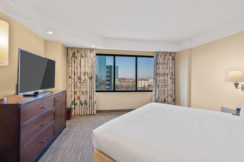 King Suite image 1