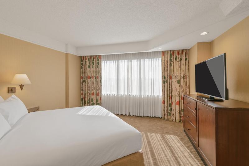 Superior King Suite image 1