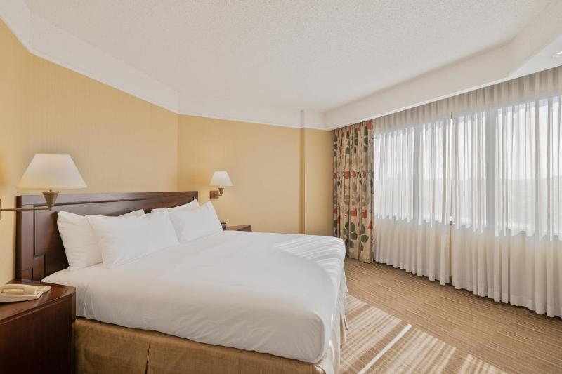 Superior King Suite image 3