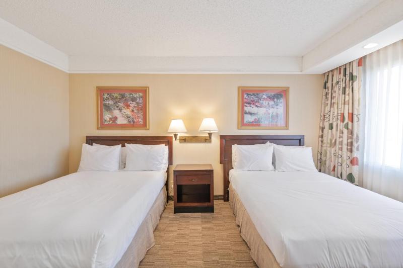 Standard Double Suite image 4