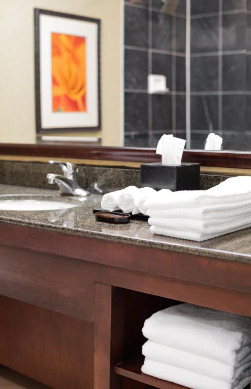 Standard Double Suite image 2