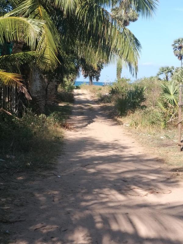beach life hostal - image 29