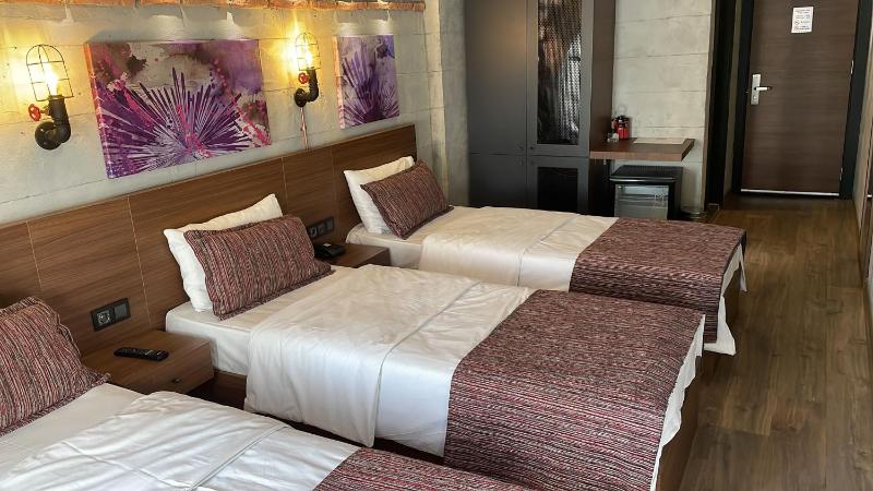 Elibol Hotel Old City - image 3