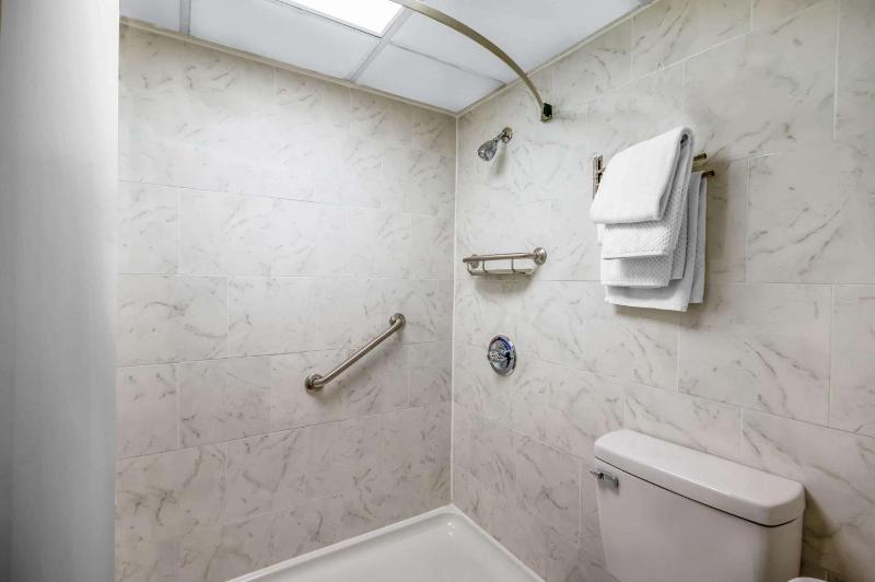 King Room with Roll-In Shower - Mobility Access/Non-Smoking image 3