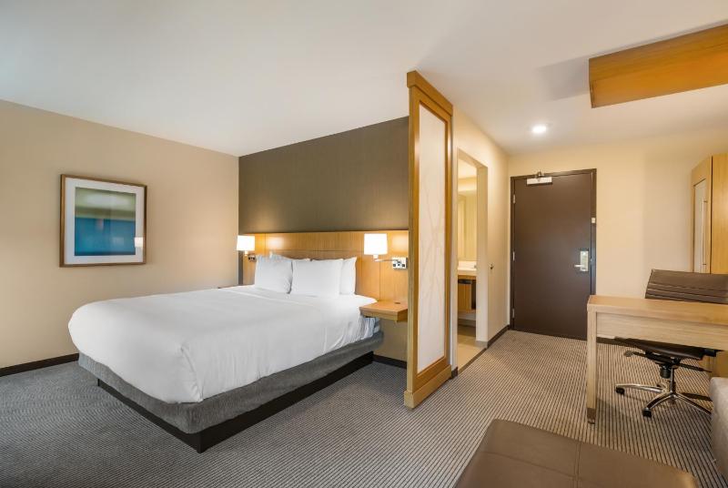 Specialty King Room with Sofa Bed image 3