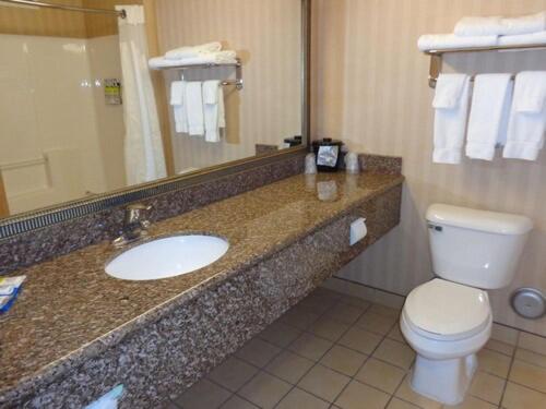 One-Bedroom King Suite image 1