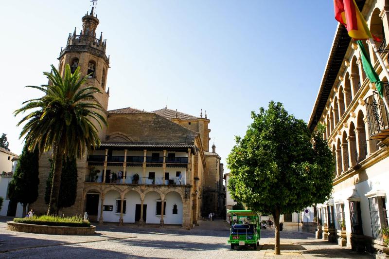 La Colegiata De Ronda - image 8