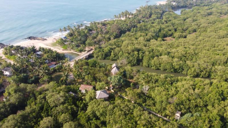 Mermaid Cabana and Tree Houses - image 7