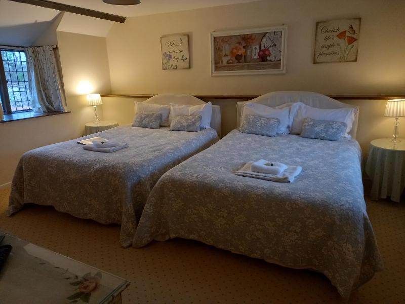 Superior Twin Room image 3