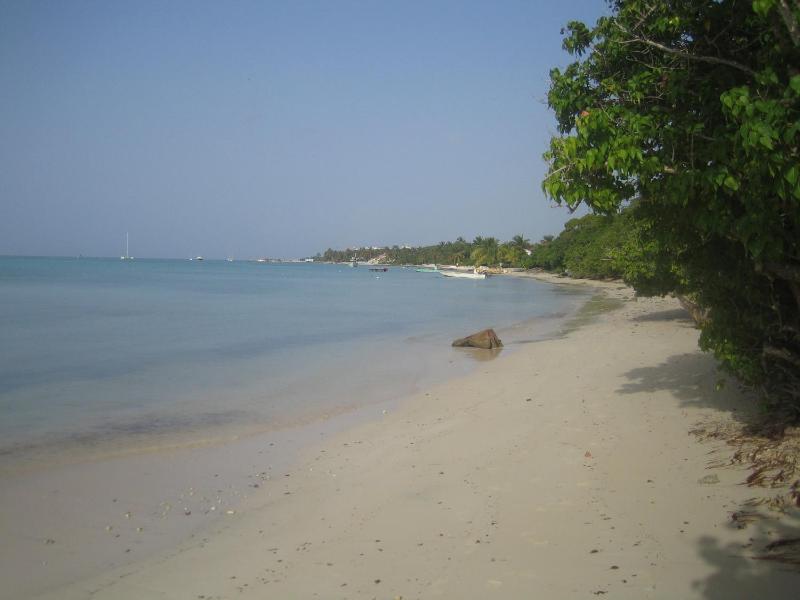 Habitation de l'Anse Mancenillier - image 8