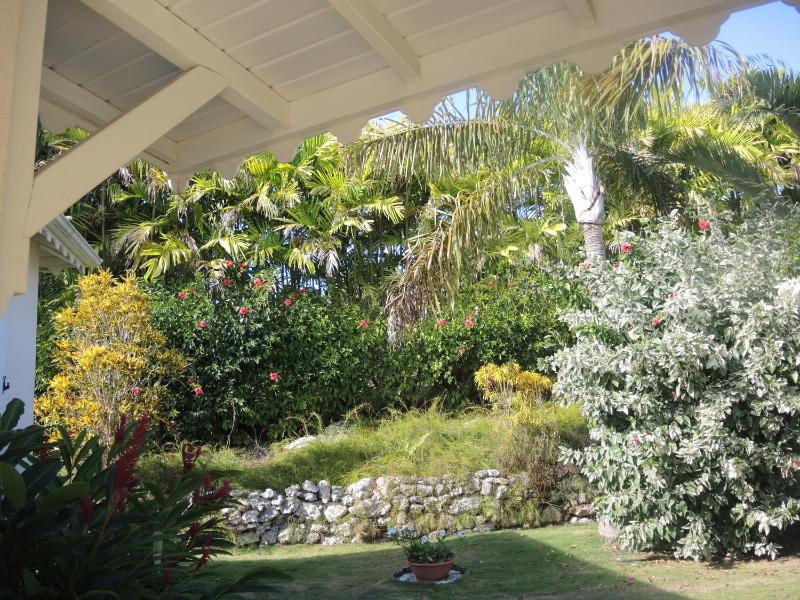 Habitation de l'Anse Mancenillier - image 15