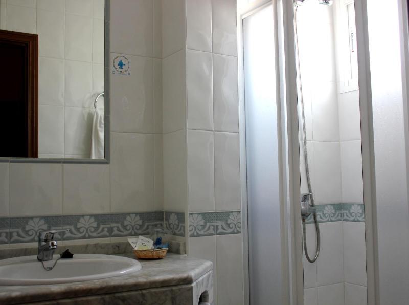 Single Room image 3