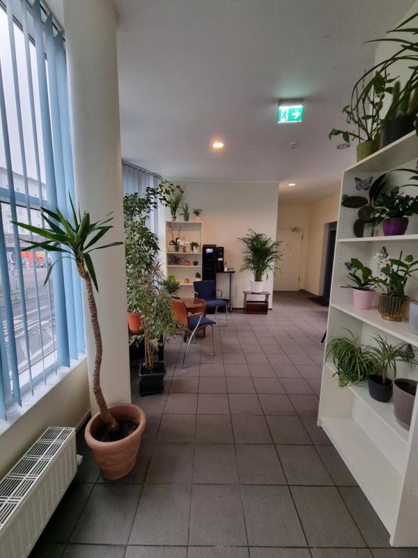 Puschkin Rooms - image 2