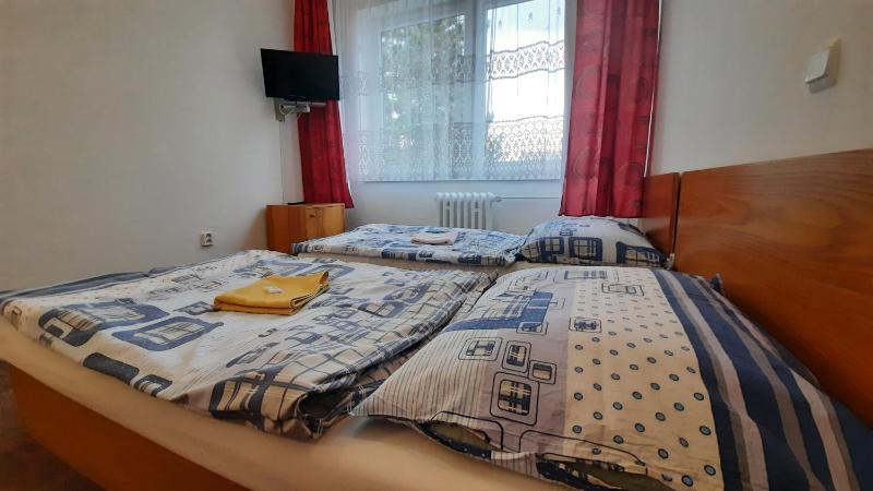 Double or Twin Room image 1