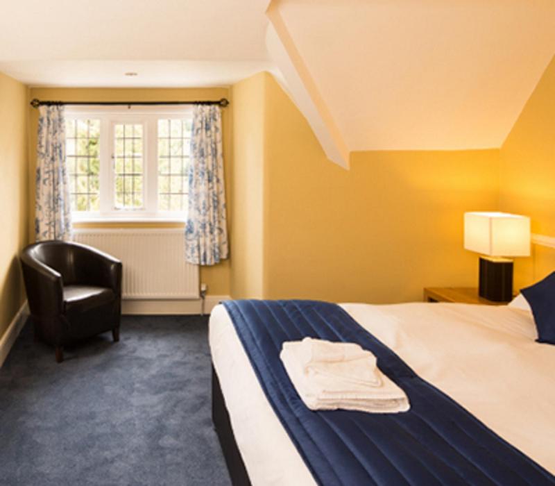 Superior Twin Room image 4