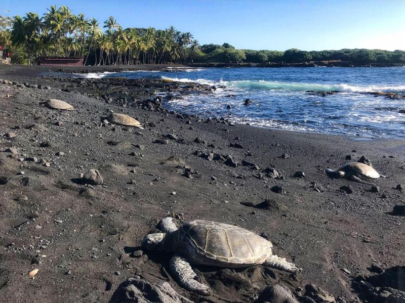 Kahaluu Bay Village 201 by Casago Kona - Snorkeling Surfing and Spaciousness - image 23
