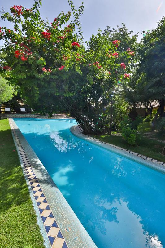 Brasil Tropical Village - image 33