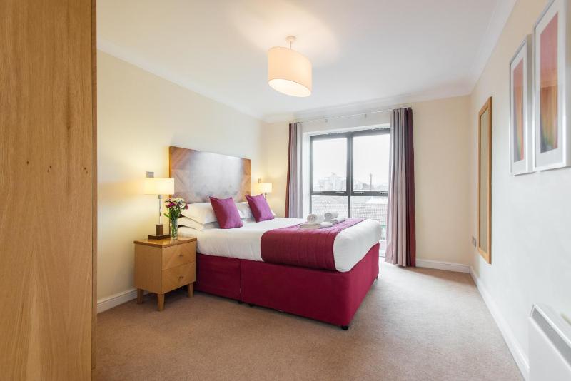 One-Bedroom Apartment image 4