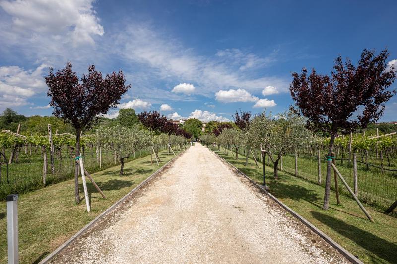 Agriturismo Borgo di Calmasino - image 11