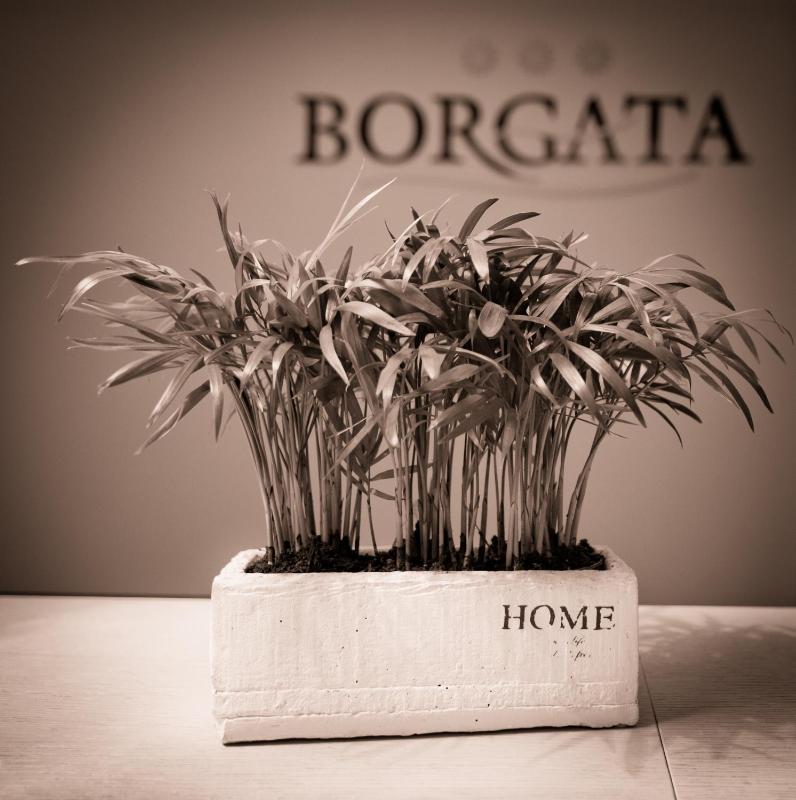 Borgata - image 19