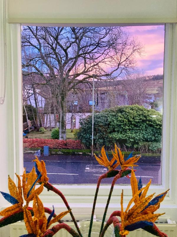 Superior Double Room image 1