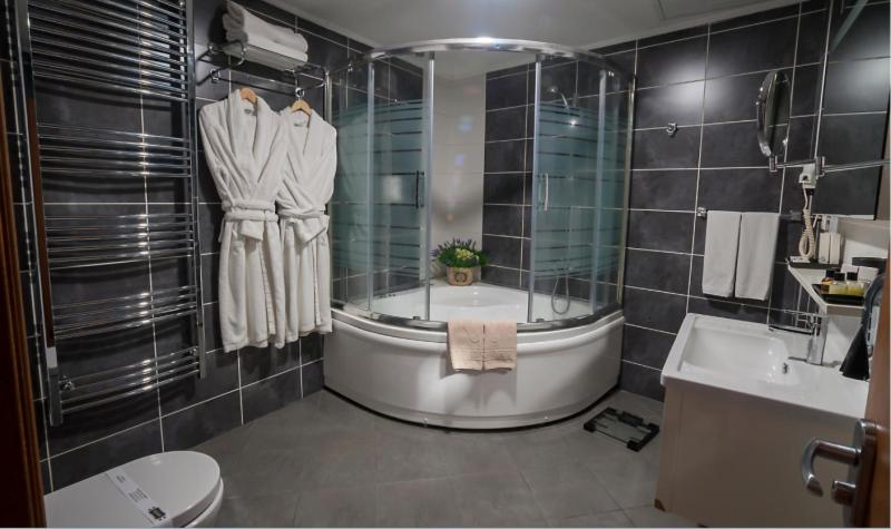 Deluxe Double Room image 3