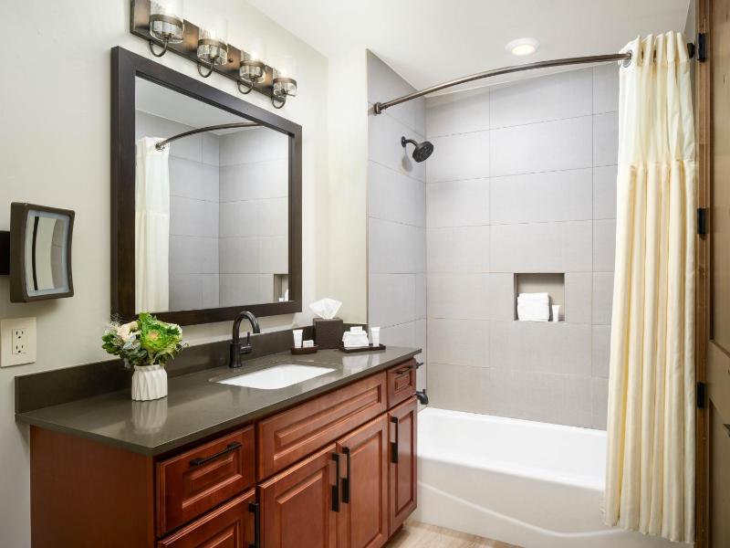 One Bedroom Suite  image 4
