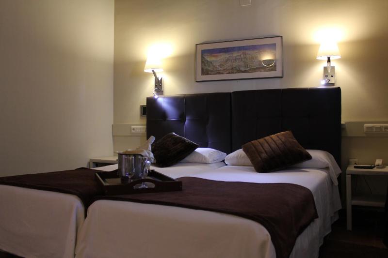 Double or Twin Room image 4