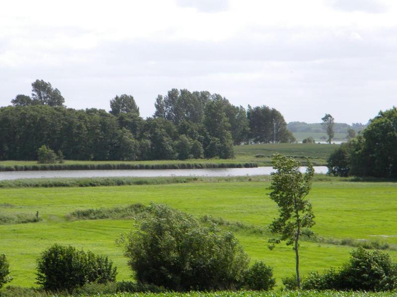 Schlei-Garten - image 22