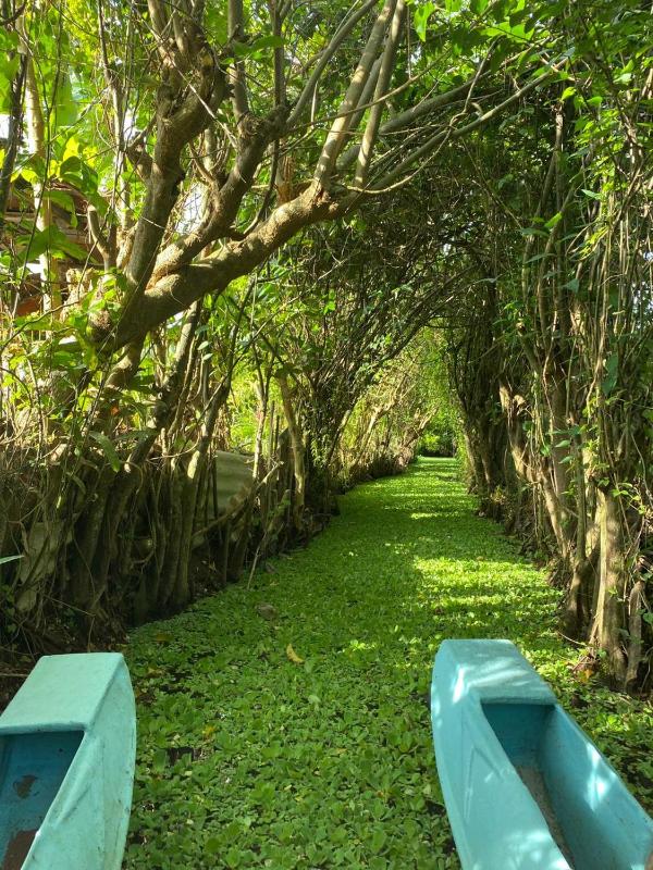 Chinuka villa - image 2