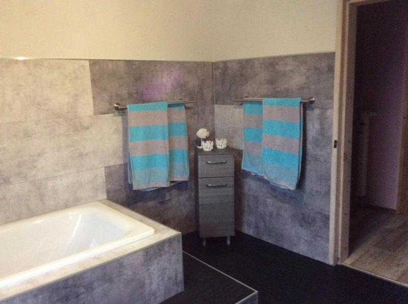 Two-Bedroom Apartment image 4