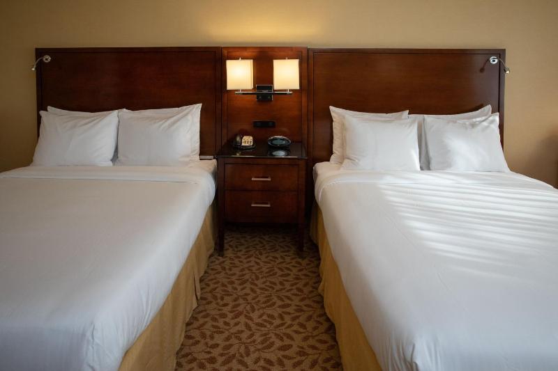 Standard Double Room image 2