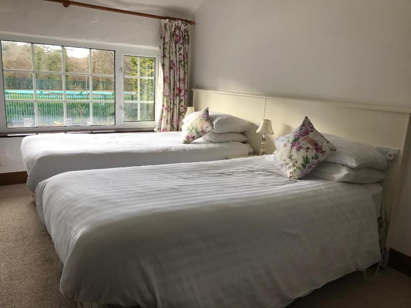 Twin Room image 4
