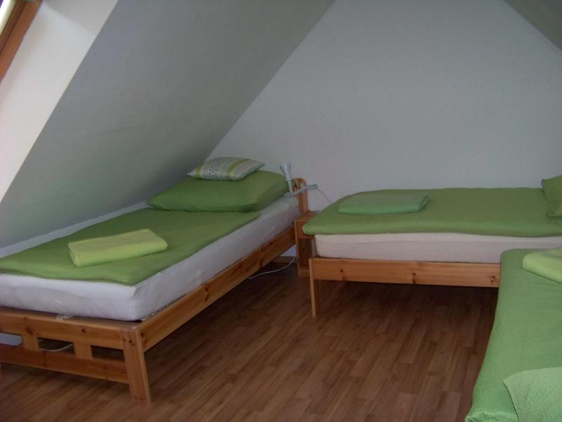 Duplex Apartment image 4
